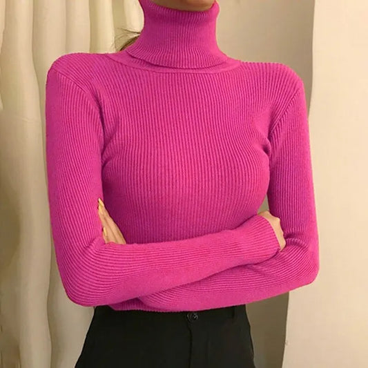 Comfortable knitted turtleneck top for women