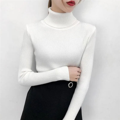 Comfortable knitted turtleneck top for women