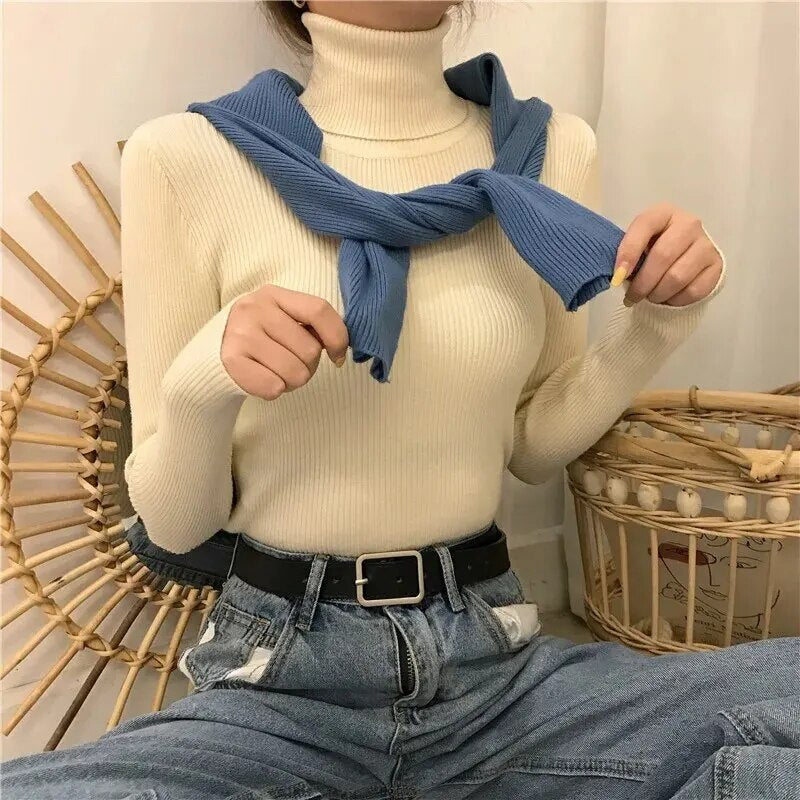 Comfortable knitted turtleneck top for women