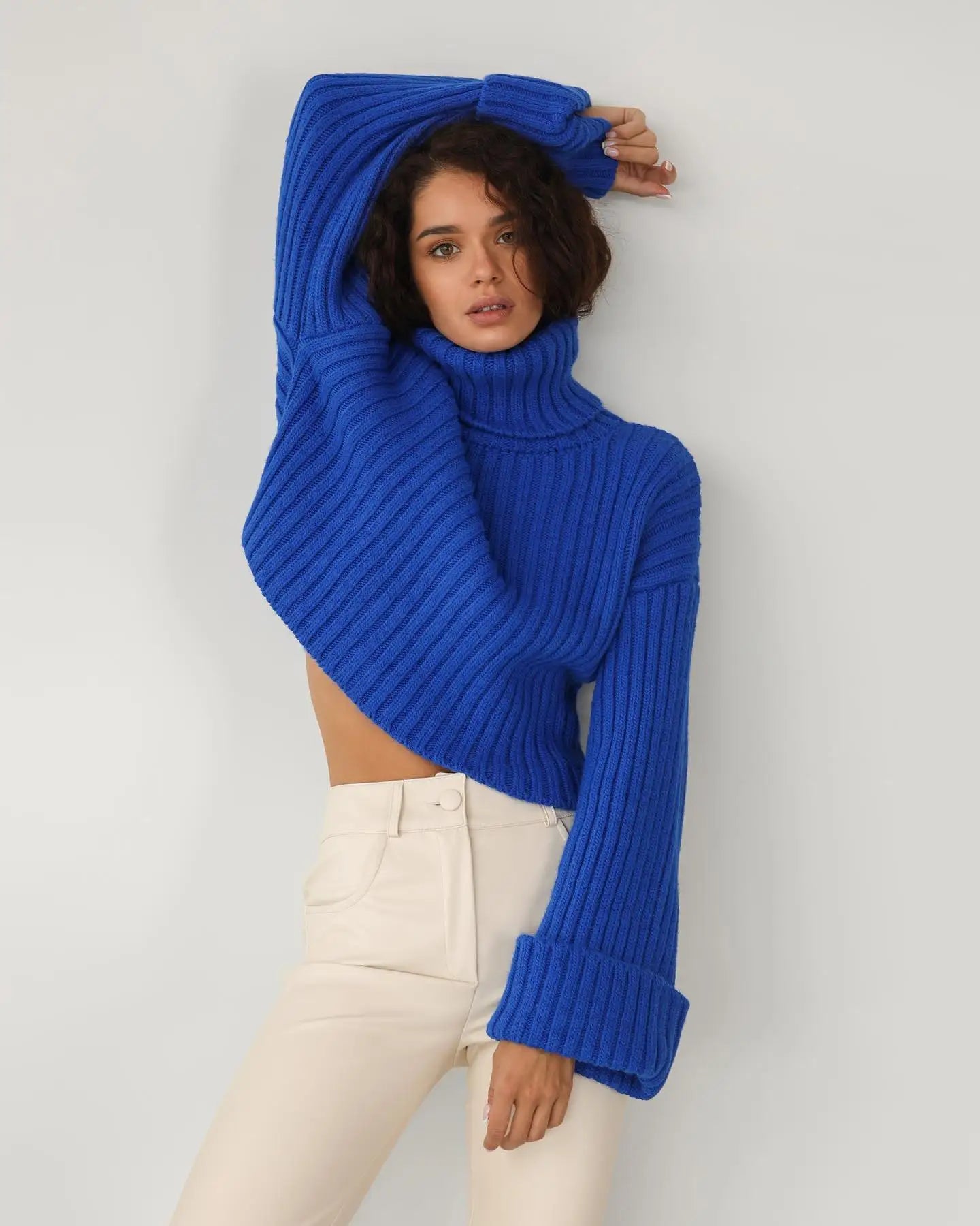 Women ribbed turtleneck cropped sweater